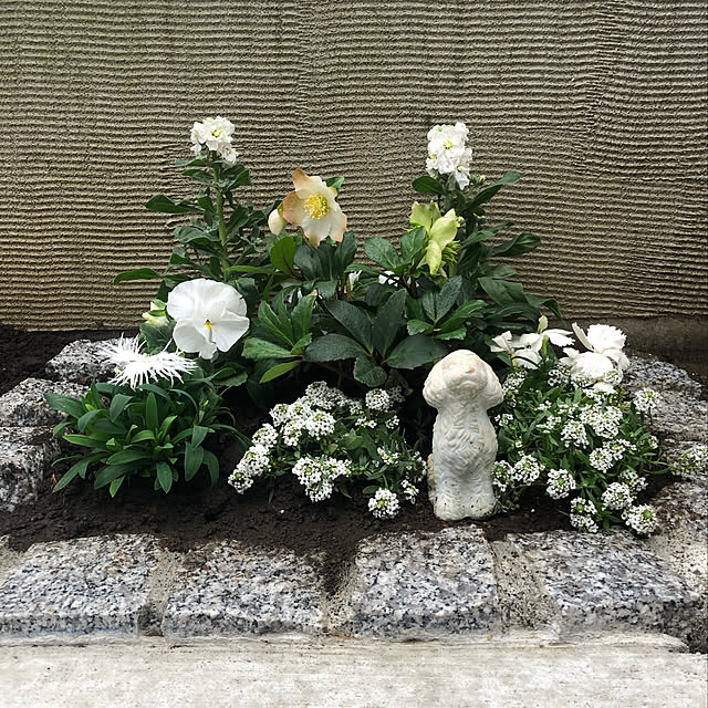 makoranさんの実例写真