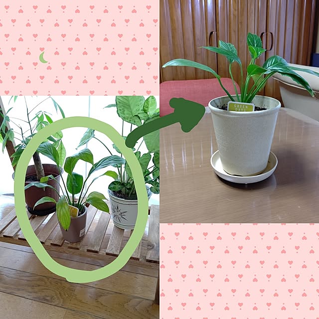 yumirinさんの実例写真