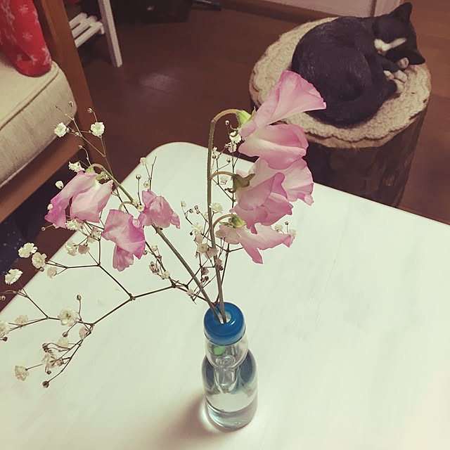 karisさんの実例写真
