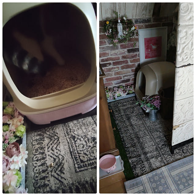 hiro3さんの実例写真