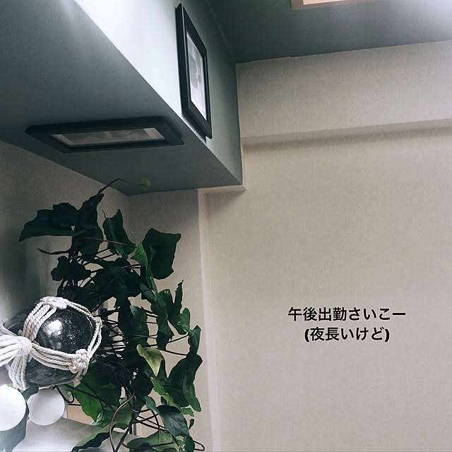Hatsuneさんの実例写真