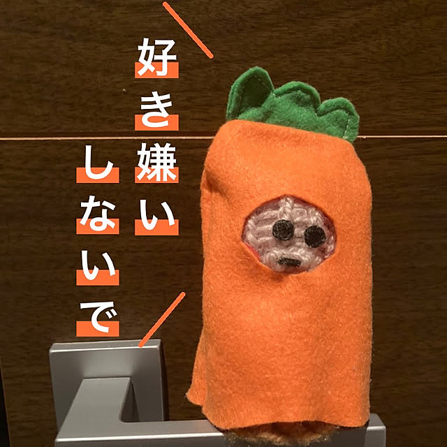 manduonmaさんの実例写真