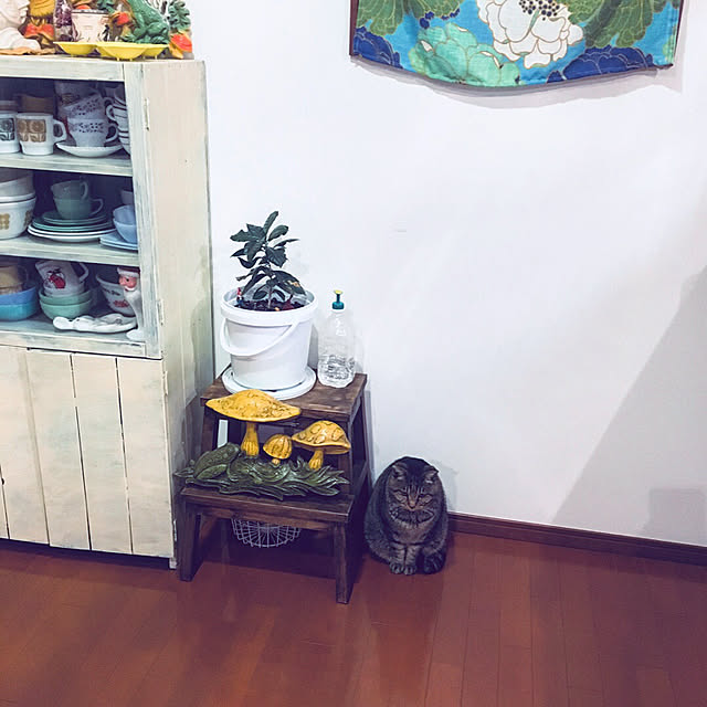 NAOMIさんの実例写真