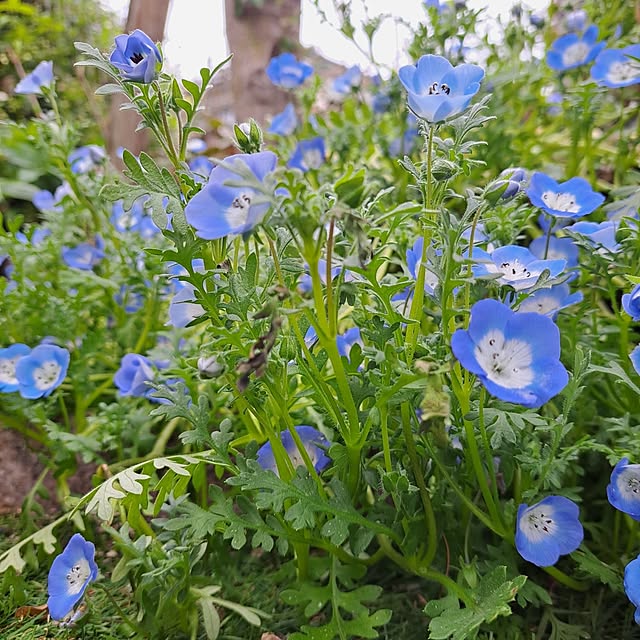 valleさんの実例写真