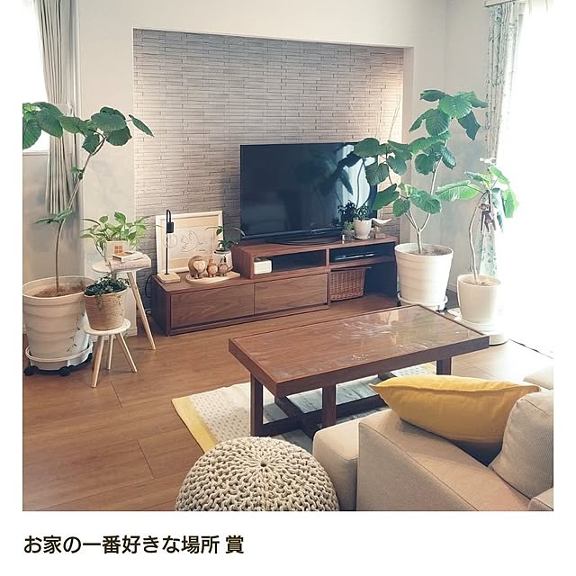 tan5さんの部屋