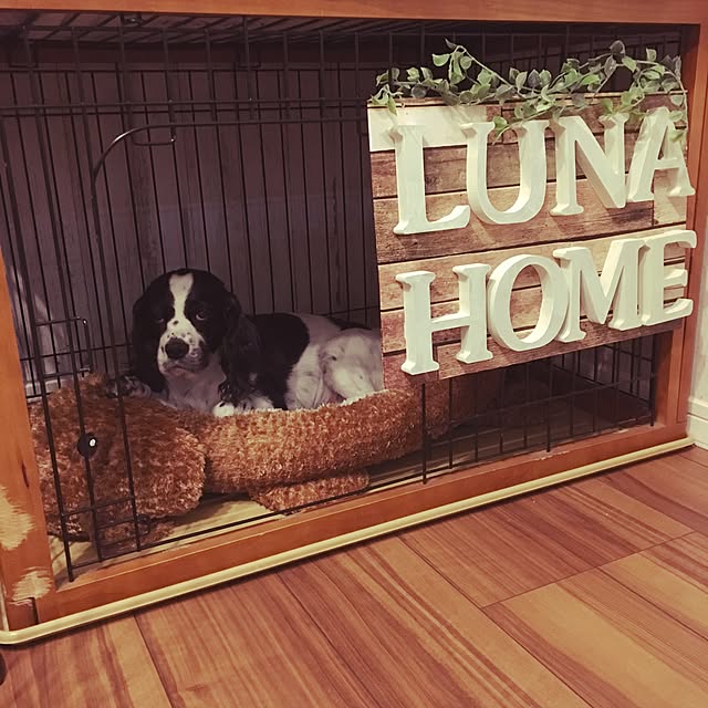 lunamamajunkoさんの実例写真