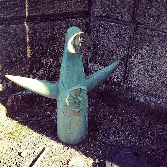 Kohaさんの実例写真
