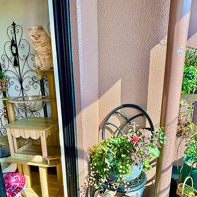 naokoさんの実例写真