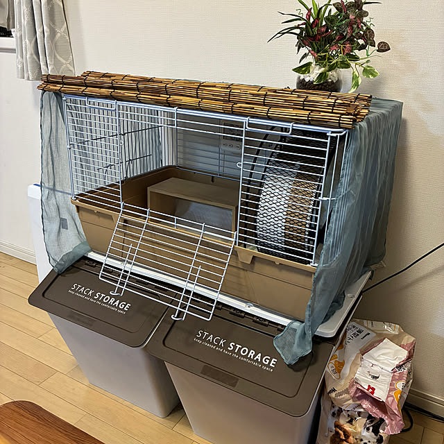 harinezuさんの部屋