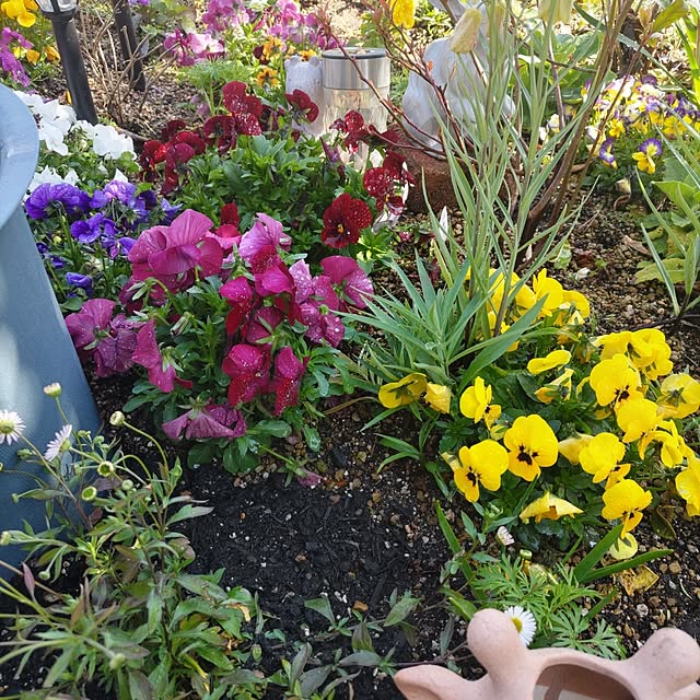 salacocoさんの部屋