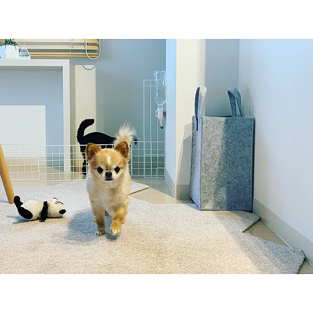 haruhinaさんの実例写真