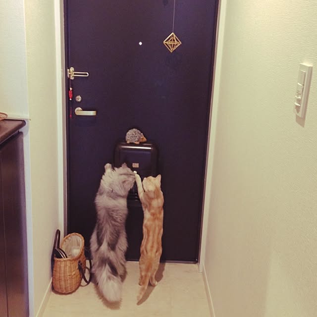 yazawakozueさんの実例写真