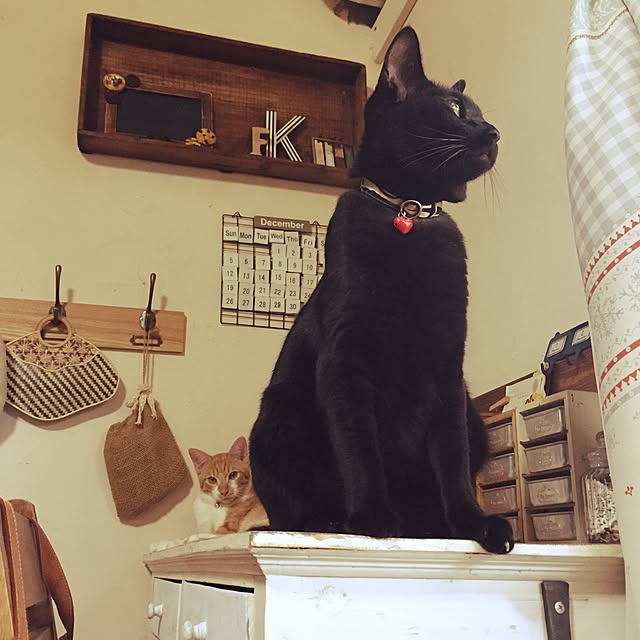 latteさんの実例写真