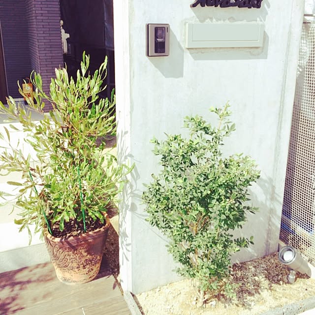 yukiさんの実例写真
