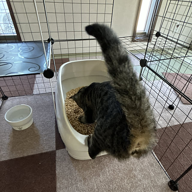 yunyumさんの部屋