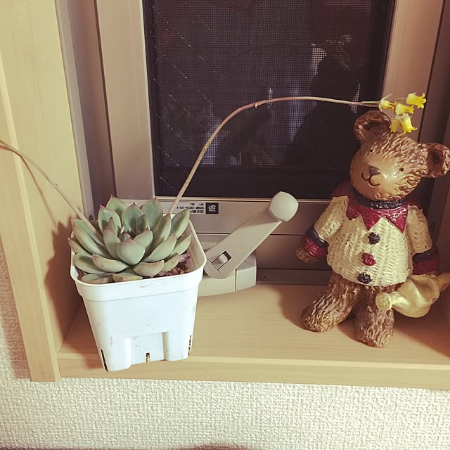 akosanさんの実例写真