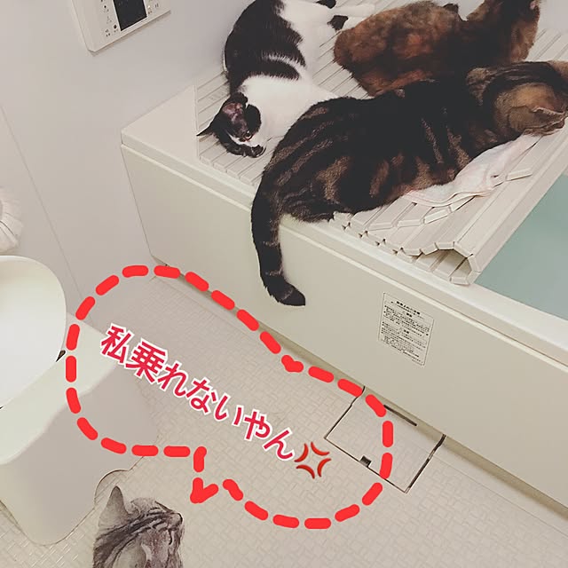 mikomaruさんの実例写真