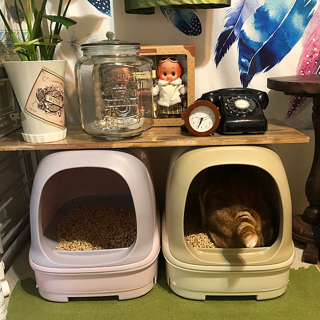 mikenekoさんの実例写真