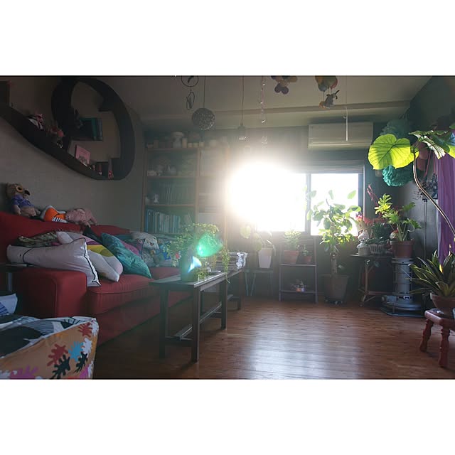 akaneさんの実例写真