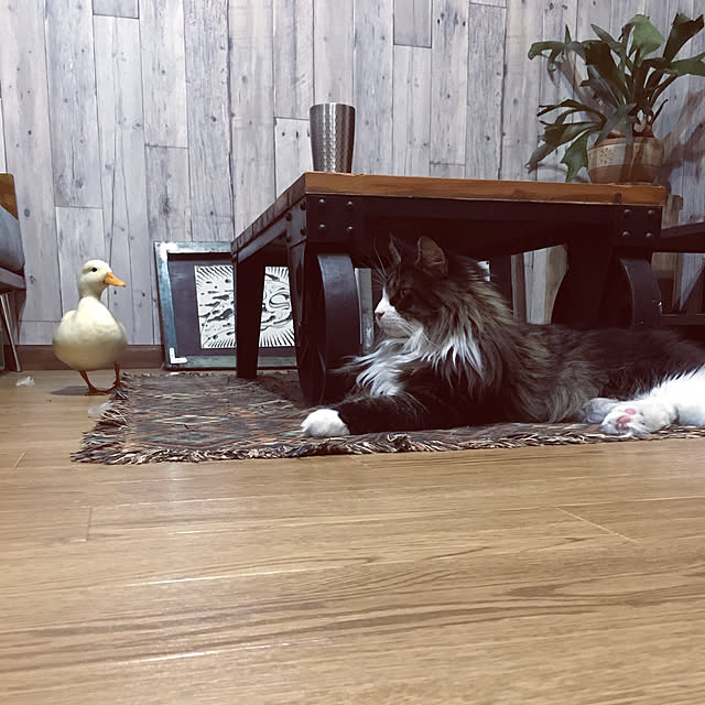 rby88さんの実例写真