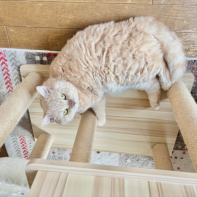 naokoさんの部屋