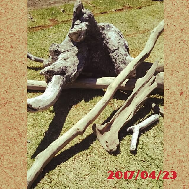 bousuke.215112さんの実例写真