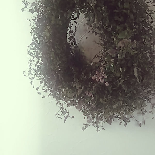 hi-yaさんの実例写真