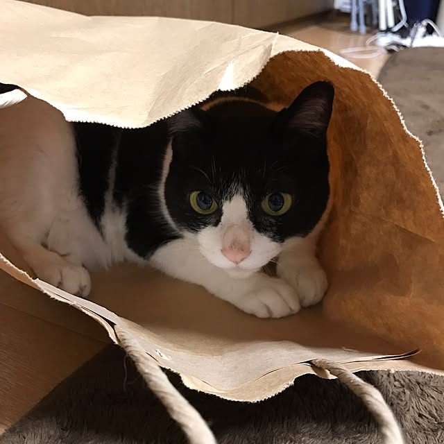 kumiさんの実例写真
