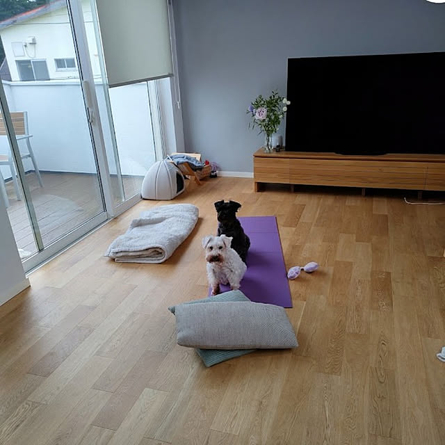 mariさんの実例写真
