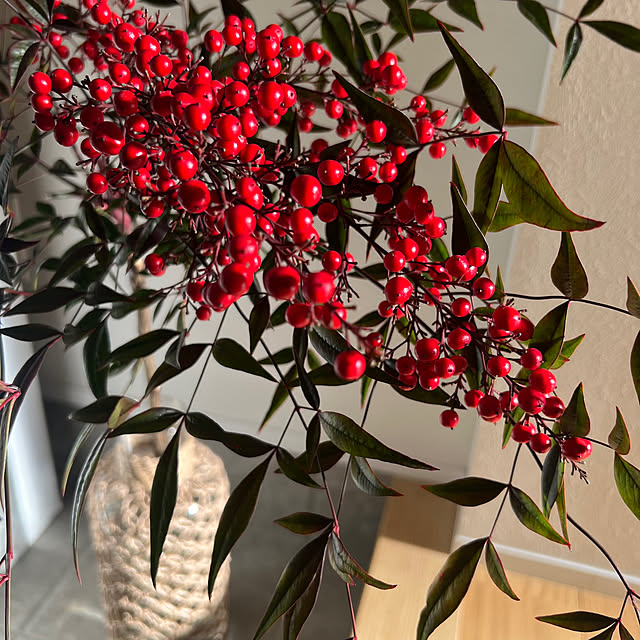 emiliさんの部屋