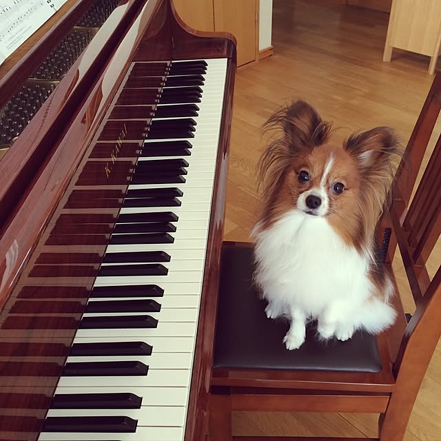 yoshimiさんの実例写真