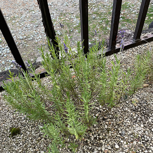 shin0719さんの部屋