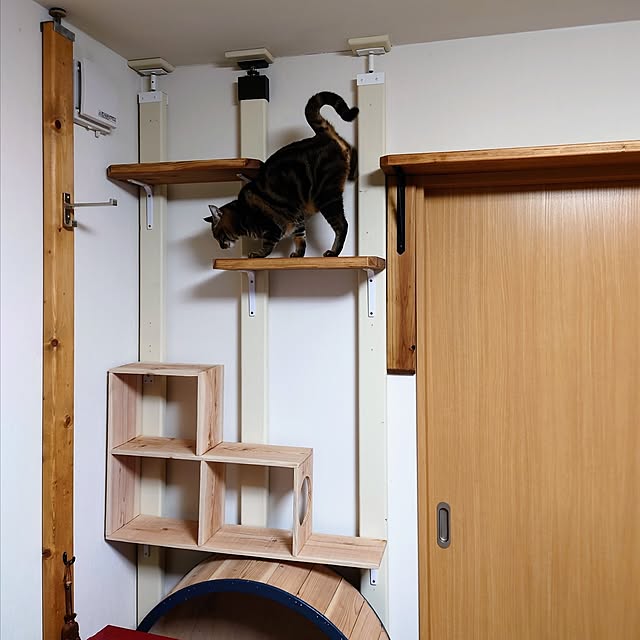 carbonaraさんの実例写真