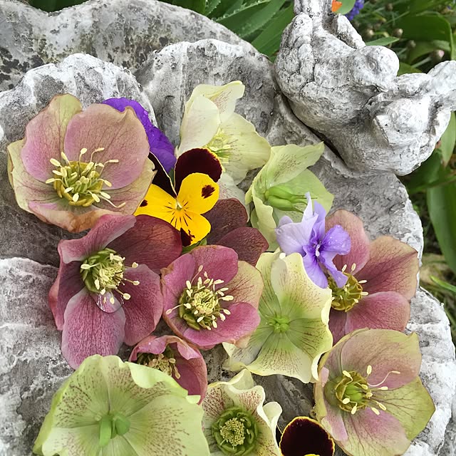 mom39さんの実例写真
