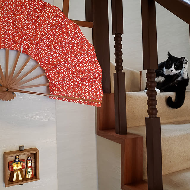 Mayumi8888さんの実例写真