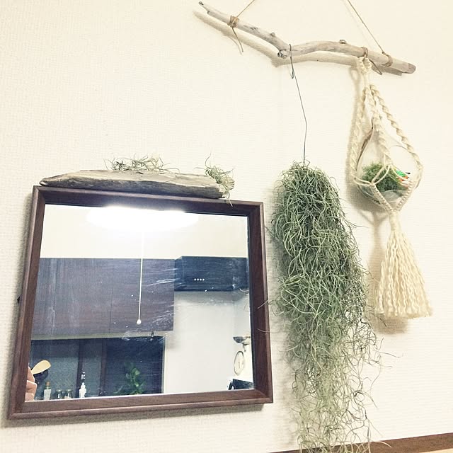staychildさんの実例写真