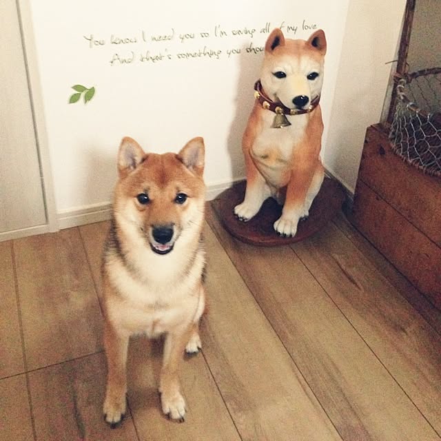 hanakoさんの実例写真