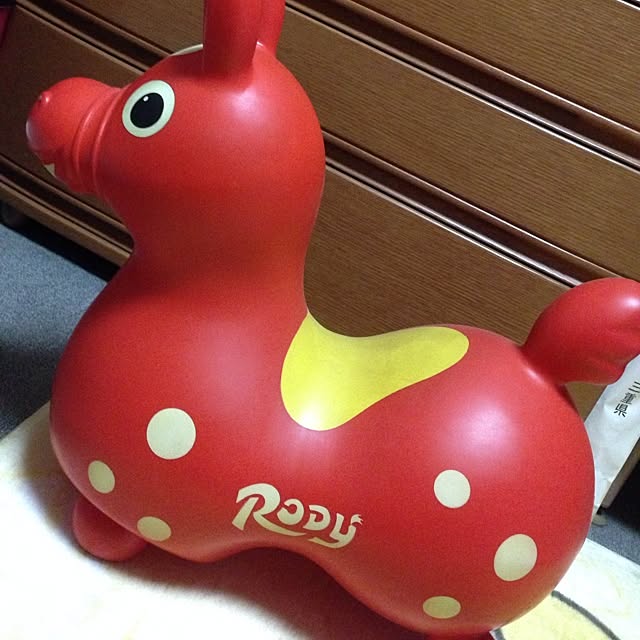 Lisaさんの実例写真