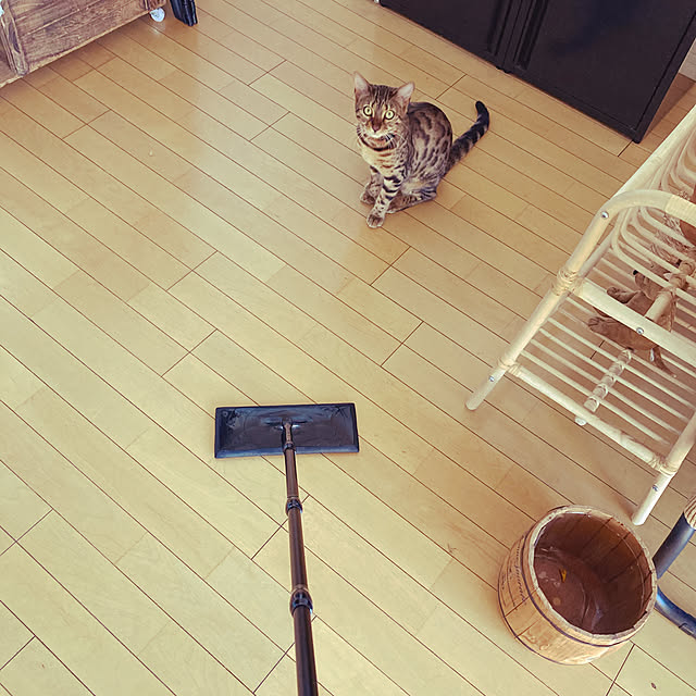 riechocoさんの実例写真