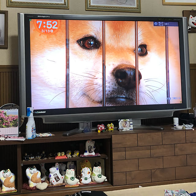 jurさんの部屋