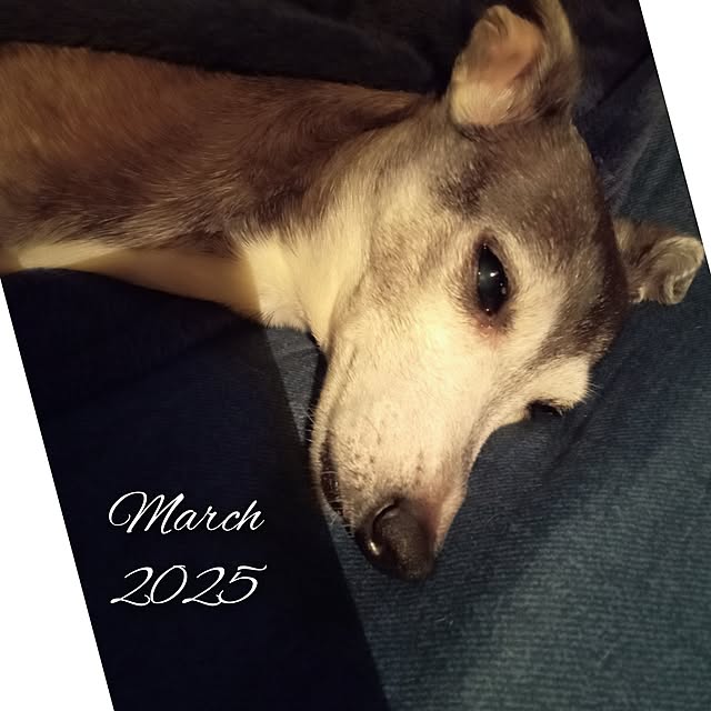moruさんの部屋