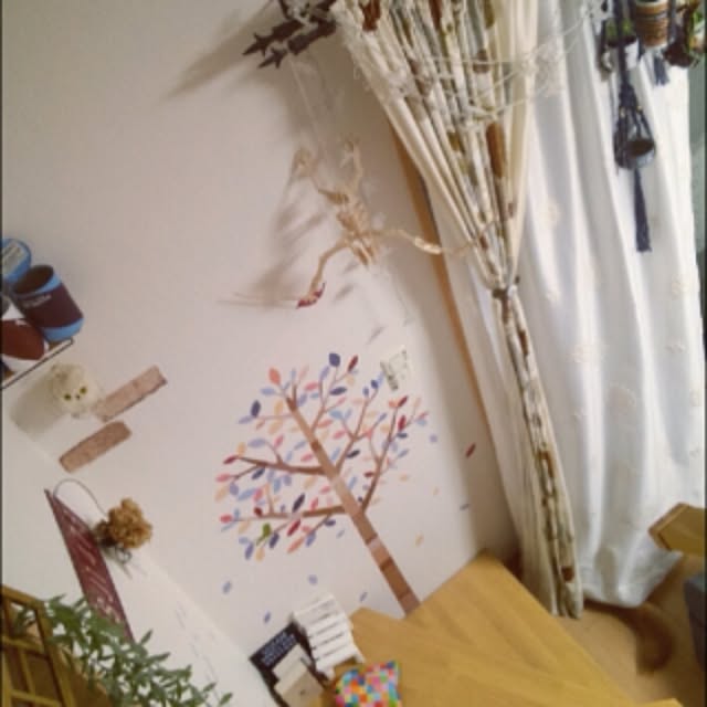 kotaさんの実例写真