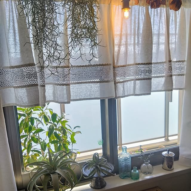 Petit_Pommierさんの部屋