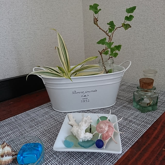 Noriさんの実例写真