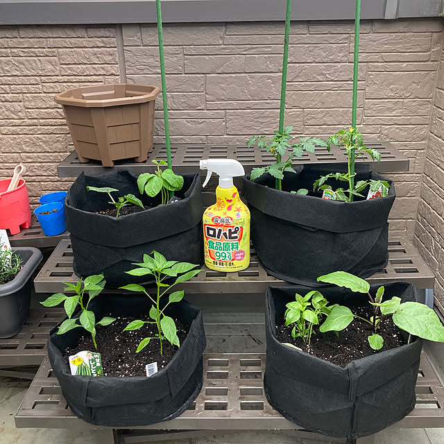 Omachanさんの実例写真