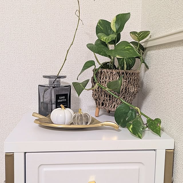 kumiさんの実例写真