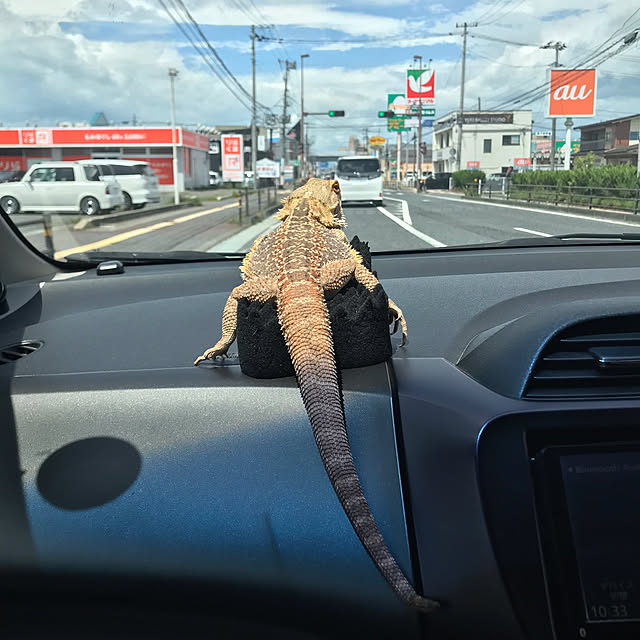 japitonさんの実例写真