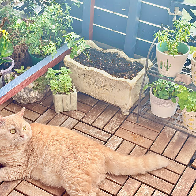 naokoさんの部屋