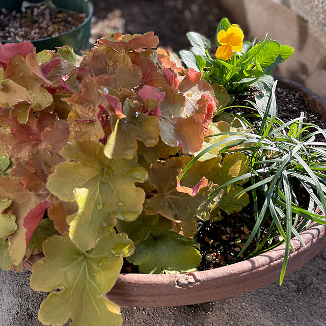 buchiさんの部屋