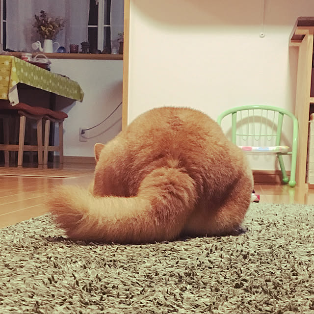 yamayamaさんの実例写真
